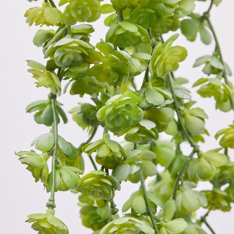 EDG Enzo De Gasperi Echeveria Olis Cespuglio Cadente H 44 Cm Planta Artificial Verde Claro