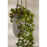 EDG Enzo De Gasperi Echeveria Olis Cespuglio Cadente H 44 Cm Planta Artificial Verde Claro