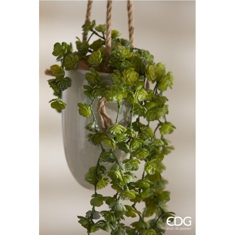 EDG Enzo De Gasperi Echeveria Olis Cespuglio Cadente H 44 Cm Planta Artificial Verde Claro