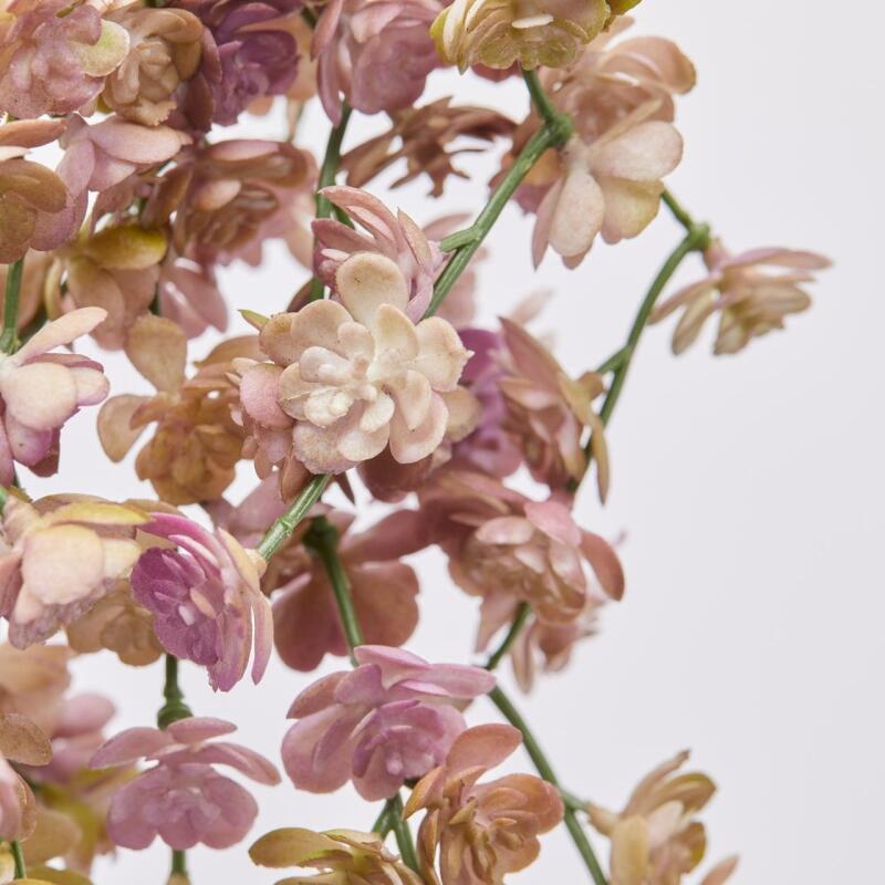 EDG Enzo De Gasperi Echeveria Olis Arbusto Colgante H 44 cm Planta Artificial Rosa Verde Claro