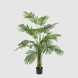 EDG Enzo De Gasperi Palma Areca C/Vaso H150 C3 Verde