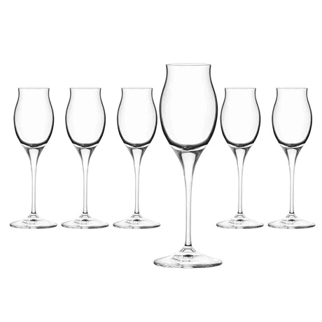 RCR Cristallería Italiana Invino - I10 Licor - Juego de 6 Copas de Licor en Vidrio