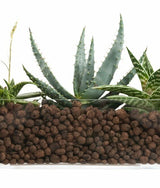 larcolaio larcolaio terriccio argilla espansa 10 lt