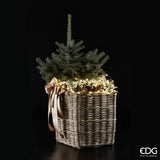 EDG Enzo De Gasperi Luces Navidad MicroLed X 20 140 + 50 Cm Marfil