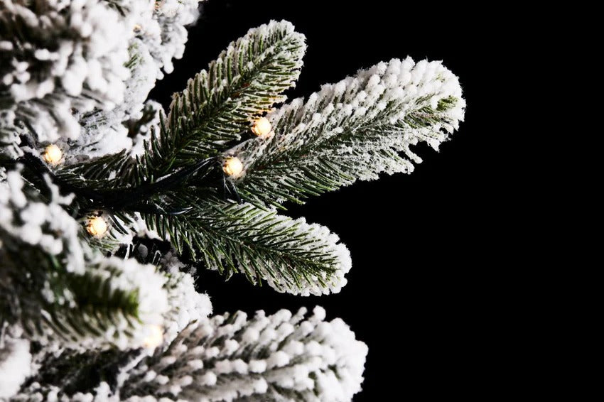 EDG Enzo De Gasperi Albero di Natale Pino Merano Innevato H 240 Cm D 148 Cm con 950 Led  Bianco Verde