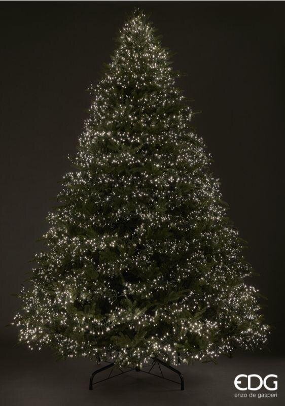 EDG Enzo De Gasperi Árbol de Navidad Pino Spark H 365 Cm D 220 Cm 13.000 Led Verde