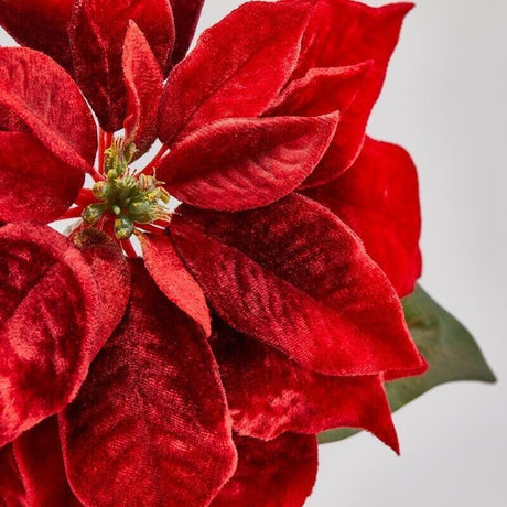 EDG Enzo De Gasperi Stella de Navidad Bell en Terciopelo con Hojas Red H71 cm – Decoración Navideña