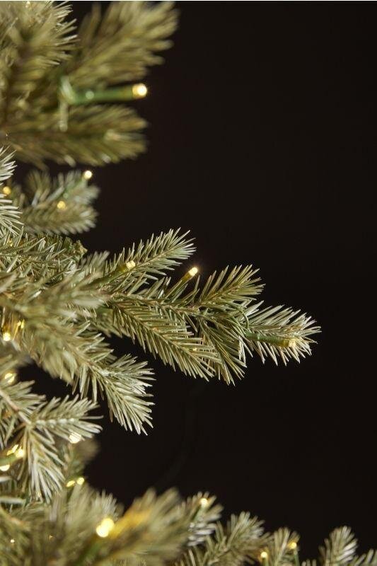 EDG Enzo De Gasperi Árbol de Navidad Pino Plateado 8.500 LED H 300 Cm D 192 Cm Ip 44