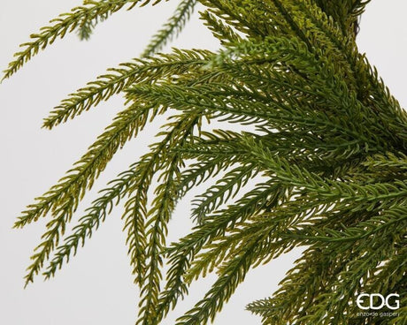 EDG Enzo De Gasperi Corona Navideña en Cryptomeria Verde Ø35 cm – Guirnalda Decorativa para Puertas, Paredes y Adornos Navideños