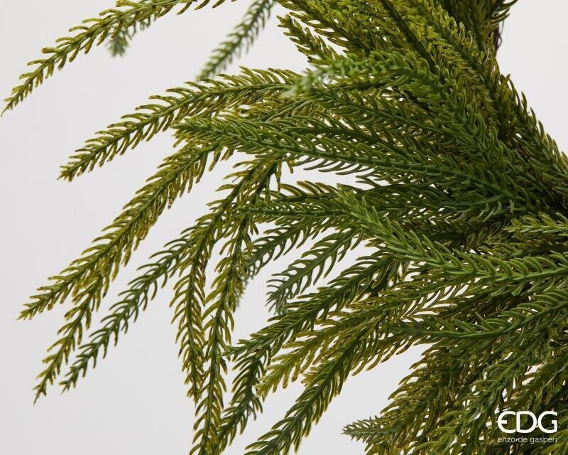 EDG Enzo De Gasperi Corona Navideña en Cryptomeria Verde Ø35 cm – Guirnalda Decorativa para Puertas, Paredes y Adornos Navideños