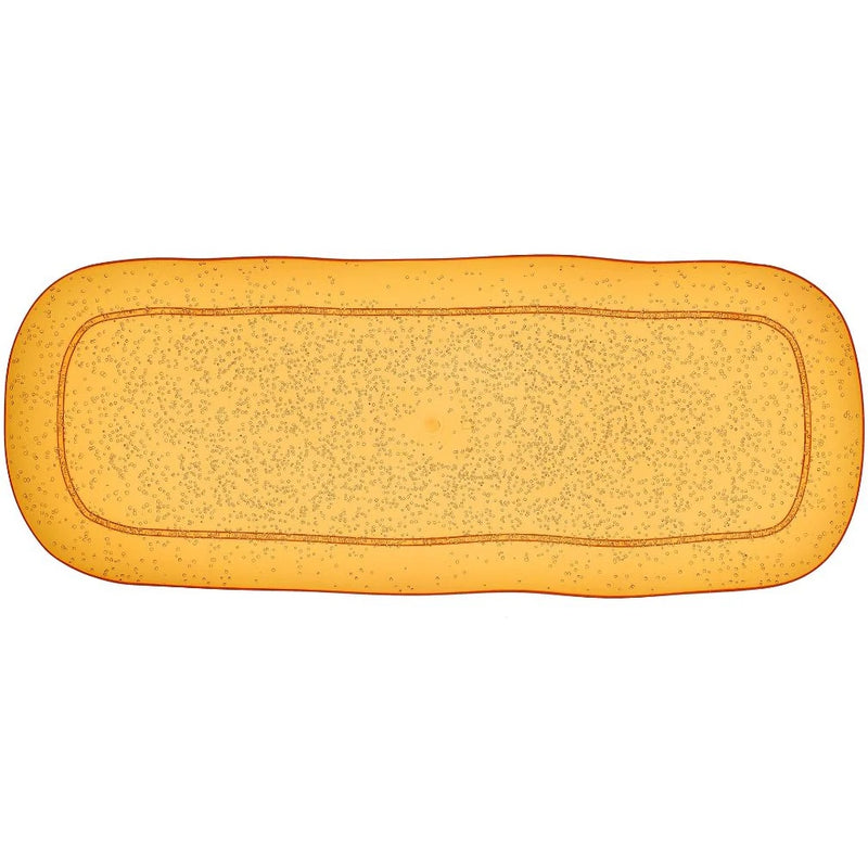 Zani Serafino Bandeja Rectangular Grande Memento Synth en Metacrilato Color Mandarina