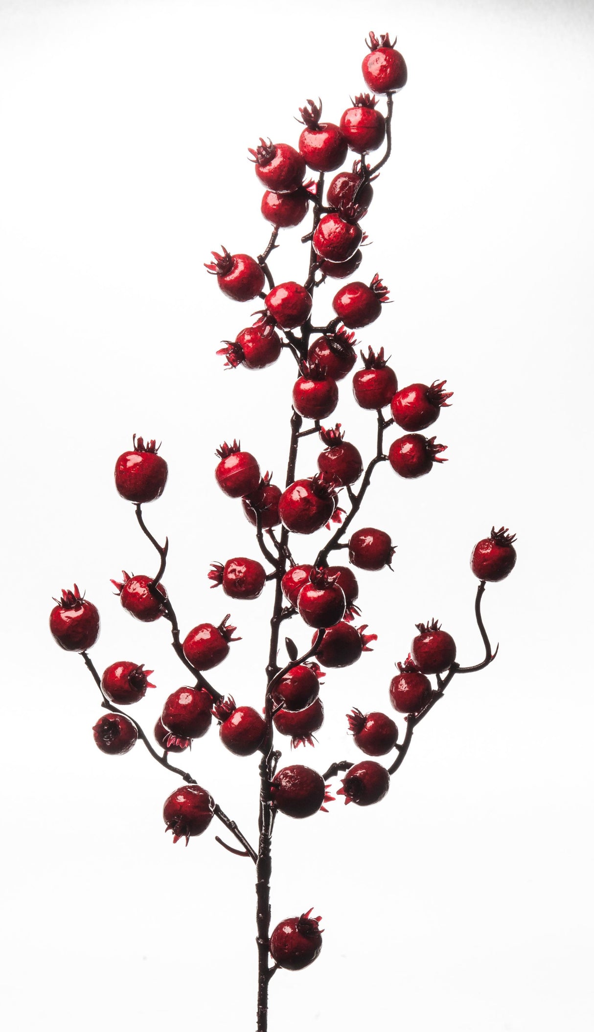 ARPIMEX Tralcio Natale Bacche 80 Cm Rosso