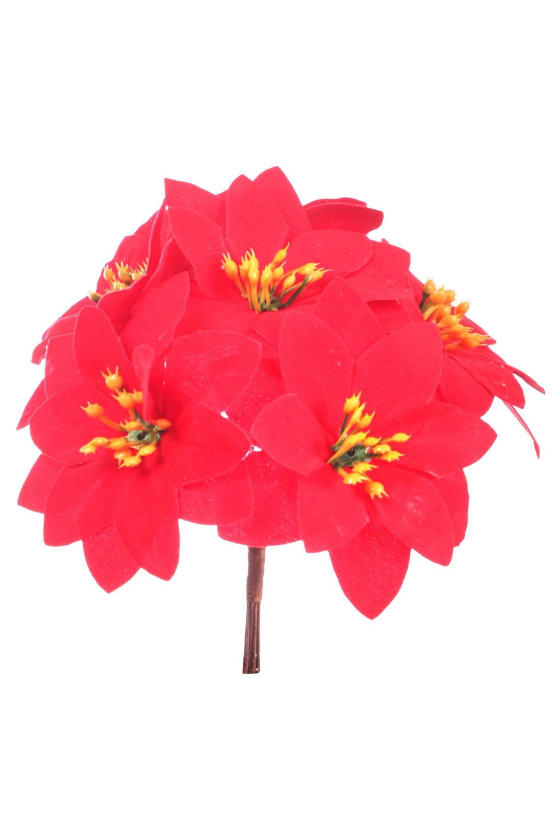 ARPIMEX Ramillete 7 Mini Flores de Pascua de Navidad H 13 cm Rojo
