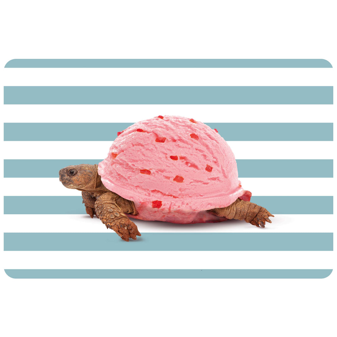 WD LifeStyle Salvamanteles Doble Cara 43 x 30 Cm en PVC Decoración Tortuga