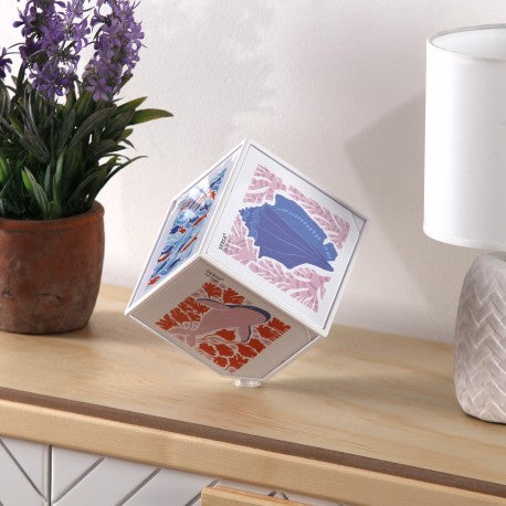 Versa Cubo Foto Bianco "Juno" 10x10