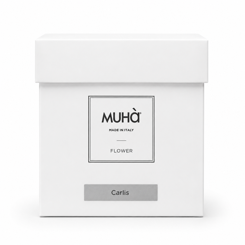 Muhà Difusor Ambientador Camelia Bombonera Carlis 30ml