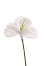 immagine-1-arpimex-amarillys-h-65-cm-bianco-ean-8018318974779