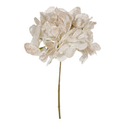 ARPIMEX Pick Ortensia di Natale H 32 Cm Bianco