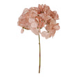 arpimex arpimex pik ortensia di natale h 32 cm rosa ean 8018318566172