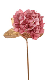 ARPIMEX Hortensia Simple H 60 Cm Rosa