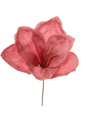 ARPIMEX Pick Amarillys D 16 Cm A 18 Cm Rosa