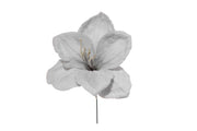 ARPIMEX Pick Amaryllis Nevada Navidad 23 Cm Azul