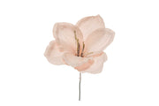 ARPIMEX Pick Amaryllis Nevada Navidad 23 Cm Rosa Polvos