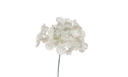 ARPIMEX Pick Ortensia Innevata 19 Cm Bianca