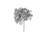 ARPIMEX Pick Hortensia Nevada 19 Cm Azul