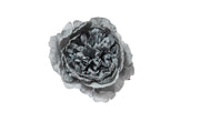 ARPIMEX Pick Peonía Nevado 23 Cm Azul
