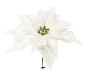 ARPIMEX Pick Navidad Poinsettia Flor de Pascua Nevada Blanca