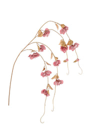 ARPIMEX Tralcio Bouganvillea H 155 Cm Rosa