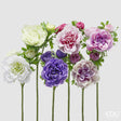 edg enzo de gasperi edg enzo de gasperi anemone ramo con bocciolo ass h 45 cm pianta artificiale multicolor 1 pz ean 8059824627940