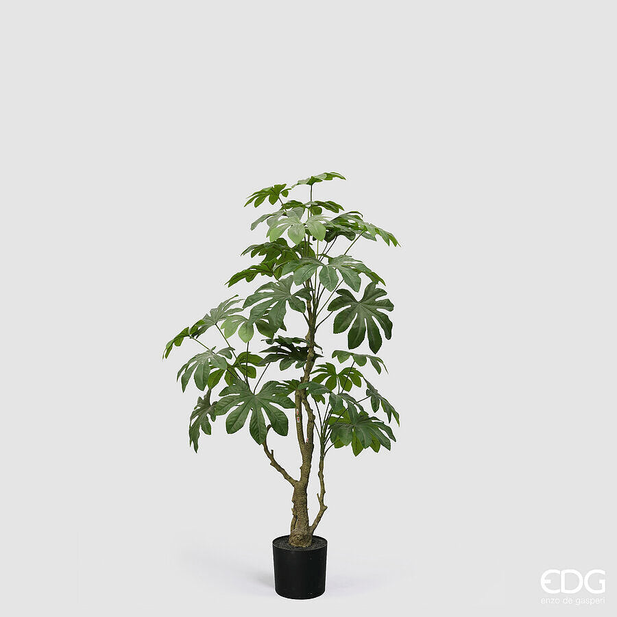 edg enzo de gasperi edg enzo de gasperi aralia vogue con vaso pianta artificiale h 144 cm verde ean 8059824607379