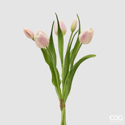 EDG Enzo De Gasperi Ramo de Tulipán Cerrado X4 H 40 cm con Capullo Blanco Rosa