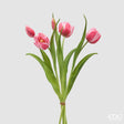 edg enzo de gasperi edg enzo de gasperi bouquete tulipano chiuso x4 h 40 cm con bocciolo mauve ean 8059824612823