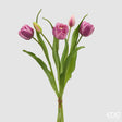 edg enzo de gasperi edg enzo de gasperi bouquete tulipano chiuso x4 h 40 cm con bocciolo viola mix ean 8059824612847