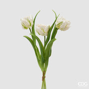 EDG Enzo De Gasperi Ramo Tulipán Loro X3 H 40 Cm con Capullo Blanco