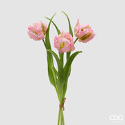 EDG Enzo De Gasperi Ramo Tulipán Loro X3 H 40 Cm con Capullo Rosa Crema