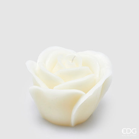 edg enzo de gasperi edg enzo de gasperi candela rosa sugar h 10 cm d 13 cm avorio ean 8059824419507