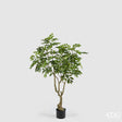edg enzo de gasperi edg enzo de gasperi dalbergia vogue con vaso pianta artificiale h 180 cm verde ean 8059824607300