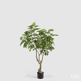 edg enzo de gasperi edg enzo de gasperi dalbergia vogue con vaso pianta artificiale h 180 cm verde ean 8059824607300