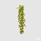edg enzo de gasperi edg enzo de gasperi echeveria olis cespuglio cadente h 44 cm pianta artificiale verde ean 8059824213617