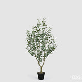 edg enzo de gasperi edg enzo de gasperi eucalipto vogue con vaso pianta artificiale h 190 cm verde ean 8059824607294
