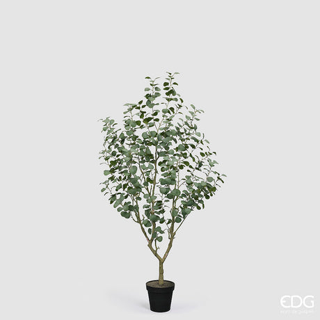 edg enzo de gasperi edg enzo de gasperi eucalipto vogue con vaso pianta artificiale h 190 cm verde ean 8059824607294