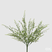 EDG Enzo De Gasperi Ginestra Arbusto Planta Artificial Alt 55 Cm Blanco