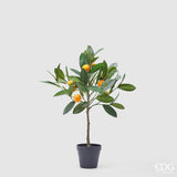 edg enzo de gasperi edg enzo de gasperi mandarino con vaso h 56 cm pianta artificiale mix verde ean 8059824355874