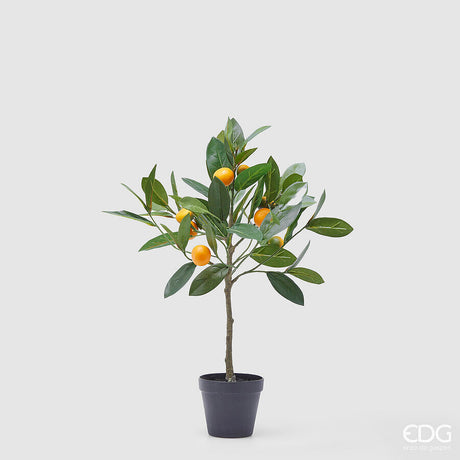 edg enzo de gasperi edg enzo de gasperi mandarino con vaso h 56 cm pianta artificiale mix verde ean 8059824355874