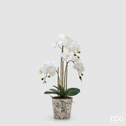 EDG Enzo De Gasperi Orquídea Phalaenopsis x3 con Botón Floral y Maceta Planta Artificial Alt. 65 Cm Blanco