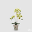 edg enzo de gasperi edg enzo de gasperi orchidea phalaenopsis x3 con bocciolo e vaso pianta artificiale h 65 cm verde ean 8059824669896